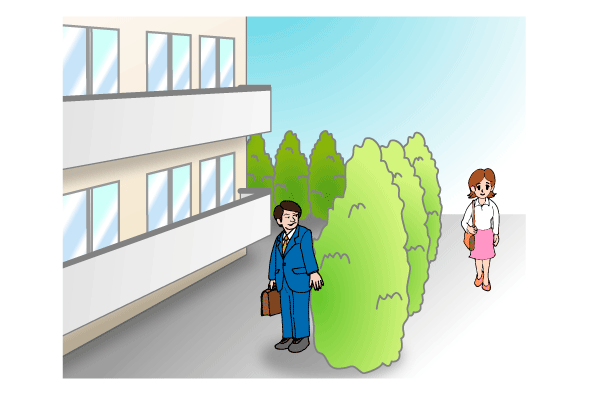 敷地外周の植栽・塀